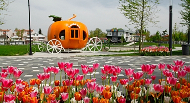 Sakarya bayramlığını giydi: Yollar, parklar ve caddeler rengârenk