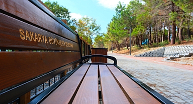 Muhteşem Sapanca Manzaraları