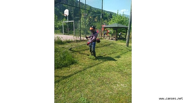 Sapanca’ ya Bahar Bakımı