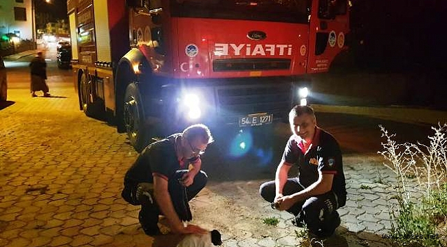 İtfaiyeden Gece Yarısı Yavru Köpek Kurtarma Operasyonu
