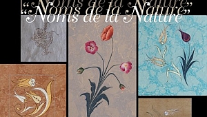 Eserleri Paris’te Sergilenecek