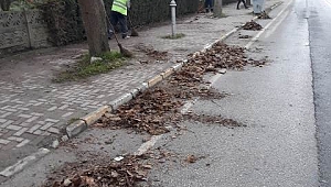 Sapanca Belediyesi Kışa Hazırlanıyor