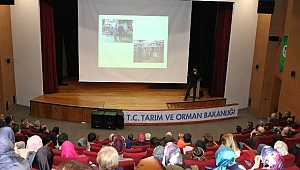 Hedef mantar yetiştiriciliğinde üretimi artırmak