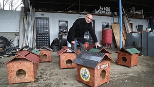 Sapanca Belediyesi’nden Kedi Evleri Projesi