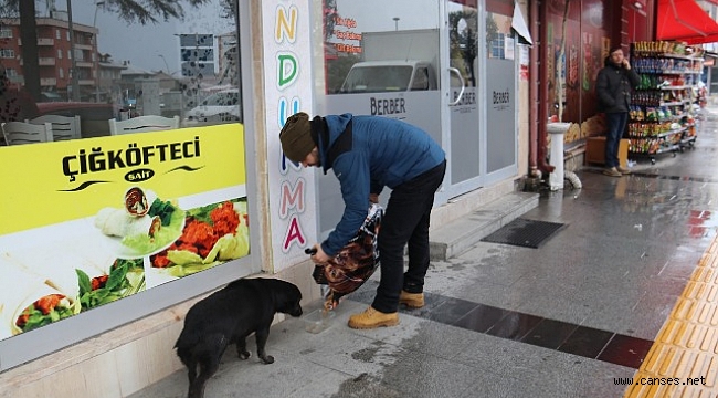 Serdivan Belediyesi’nden Sokak Hayvanlarına Yardım Eli