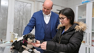 Tatlı yeni yuvasına kavuştu