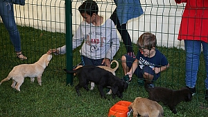 359 can dostu sahiplerine kavuştu