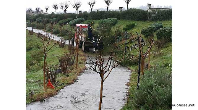BOTANİK PARK’TA BAKIM