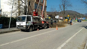 Cadde ve Bulvarlardaki Ağaçlar Budanıyor