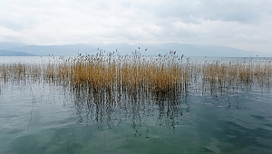 SASKİ Sapanca Gölü için il sınırlarını aştı