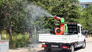 SİNEK İLAÇLAMA ZAMANI