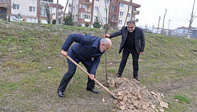 Belediye Meclisi Fidan Dikti