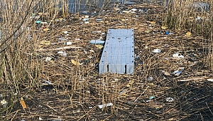 Gölden Bir Kamyon Çöp Çıkarıldı