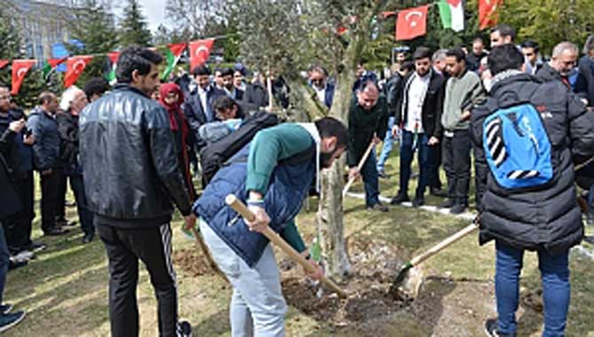 Filistinli Öğrenciler Fidan Dikti
