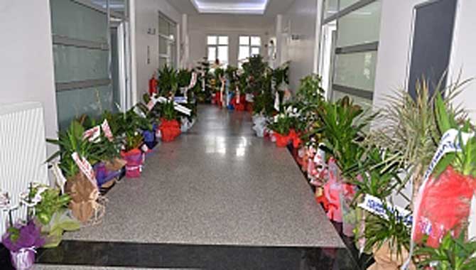 Hendek Belediyesi Çiçek Bahçesine Döndü