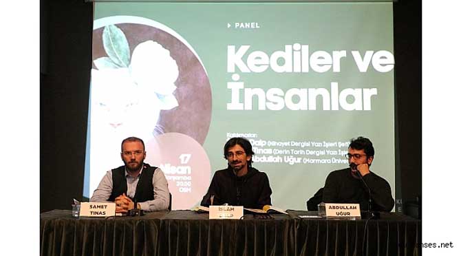 “Kedi dünyasında temel şey kokudur”