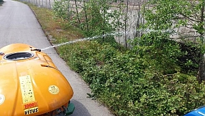 Sapanca’da Larva İlaçlamaları Başladı