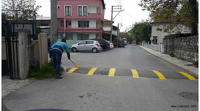 Sapanca Sokaklarına Bahar Bakımı