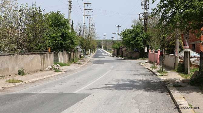 Söğütlü’de asfalt çalışmaları başlıyor