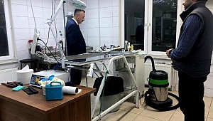 Artık Sahipsiz Değilsiniz