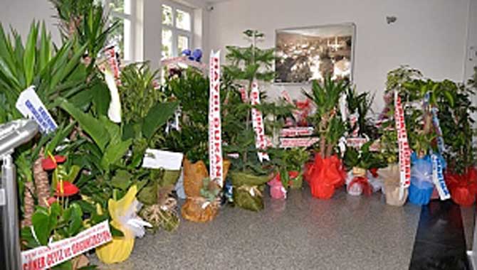 ÇİÇEKLERLE ENGELLER KALKACAK