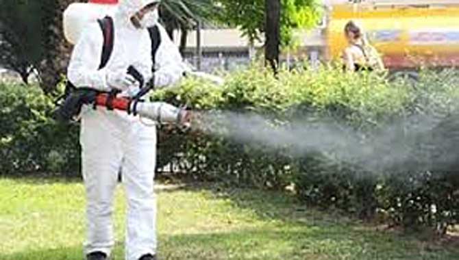 EVCİL HAYVANLARDA KENE İLAÇLAMA ZAMANI