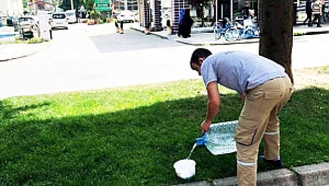 Sahipsiz Hayvanlar Susuz Kalmasın