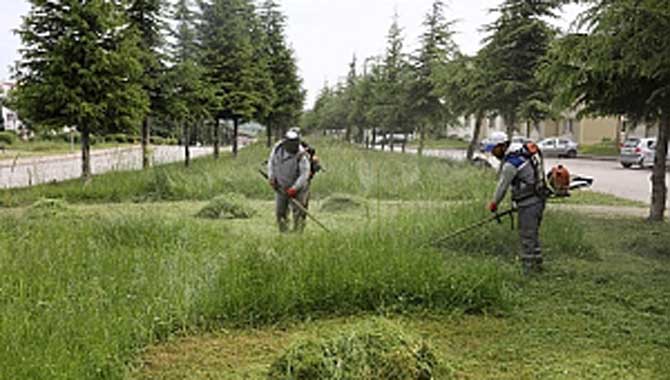 Yeşil Alanlar Nefes Alıyor