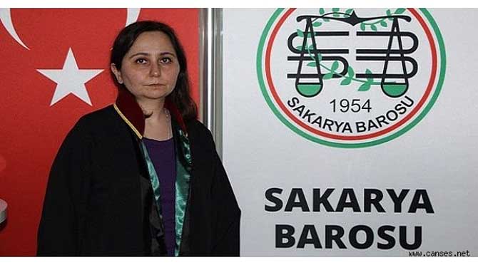 Hayvan Hakları Komisyonu Kocaali’deki olaylar kanımızı donduruyor