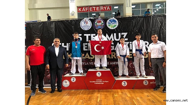 Geyve sporculardan anlamlı 17 Madalya….