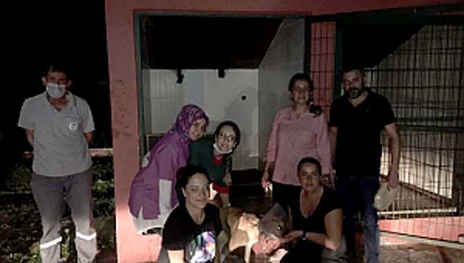 Büyükşehir Belediyesi Hayvana Verdiği Değeri Bir Kez Daha Gösterdi