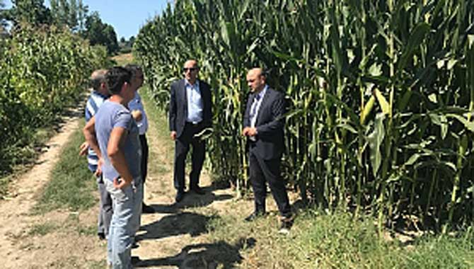 İYİ Parti’den mısır çiftçisine destek