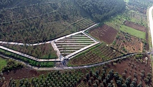 Mezarlıklara yeni düzenleme