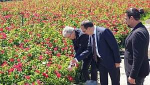 Projelere destek olacağız