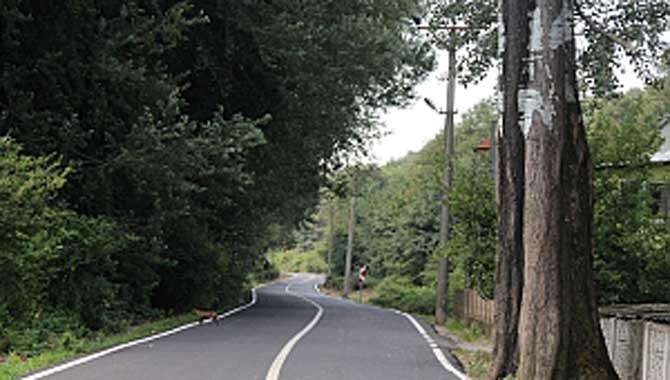 Söğütlü’de asfalt yenileme çalışmaları tamamlandı