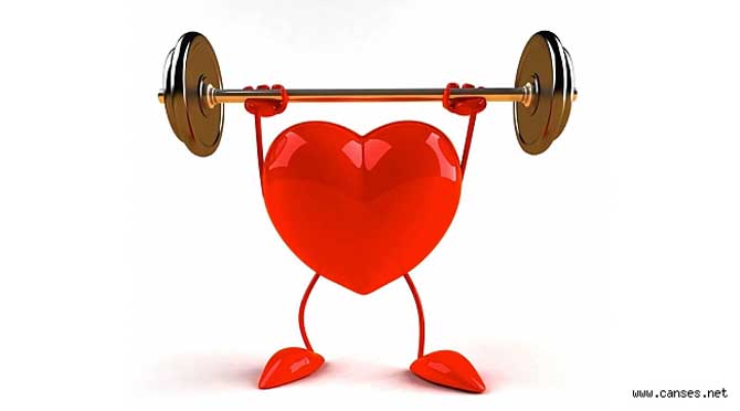 Kalbinizin sağlığını kontrol etmek