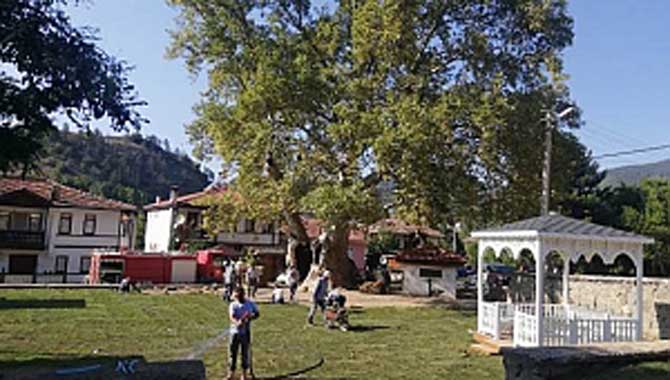 Başkan Pilavcı: 'Daha yeşil bir Taraklı için çalışıyoruz'