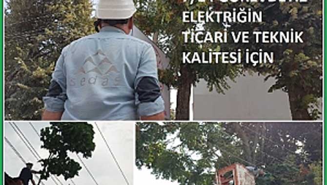SEDAŞkaliteli enerji için ağaç budama çalışmalarına ağırlık veriyor