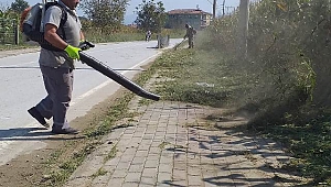 YOL ve PARKLARDAKİ YABANİ OTLAR TEMİZLENİYOR