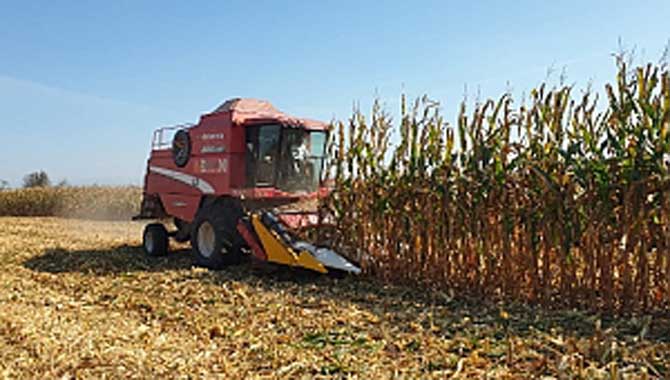 Adapazarı Bereket Yurdudur