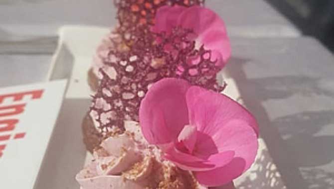 AYVA FESTİVALİNDE, ENGİNAR TATLISINA ALTIN MADALYA