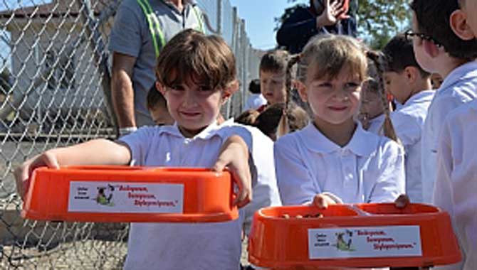 Barınak doldu taştı 