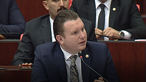 Bülbül: Kürtlükle, Kürtçe konuşmakla alakası yok