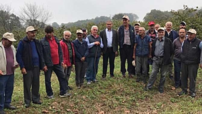 Doğru buda, 3 kat fazla kazan