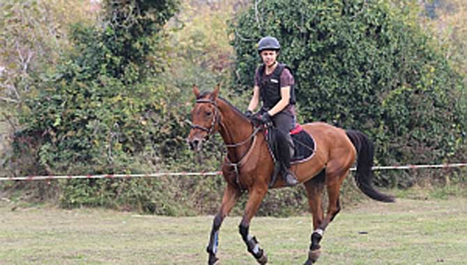 Kampüste Ata Bindiler