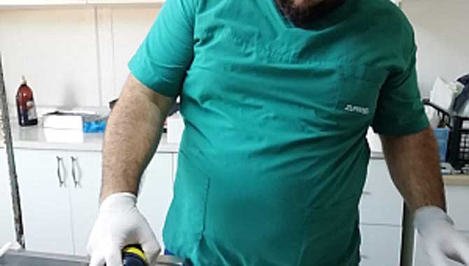 “Karasu Belediyesi, Sokak HayvanlarınaYönelik Veterinerlik Hizmetlerine Devam Ediyor”