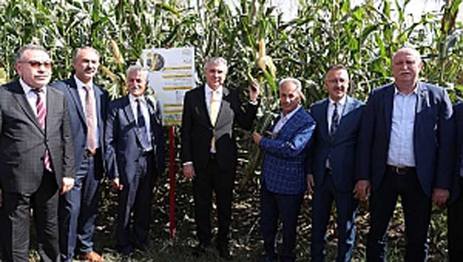 “Sakarya mısır üretiminde Türkiye’de öncü olacak”