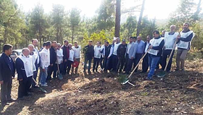 DAHA YEŞİL BİR TARAKLI İÇİN 2500 AĞAÇ GELECEĞE MİRAS BIRAKILDI