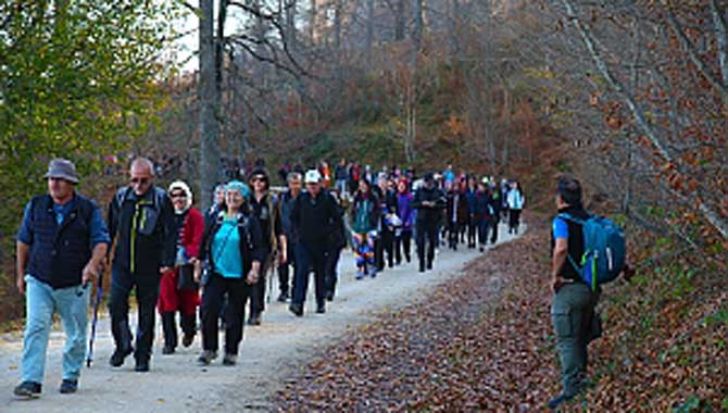 Doğaseverler Akyazı Yörükyeri’nde yürüdü