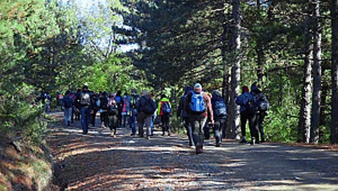 Doğaseverler Melekşe Solak-Şah Melek arasında yürüdü